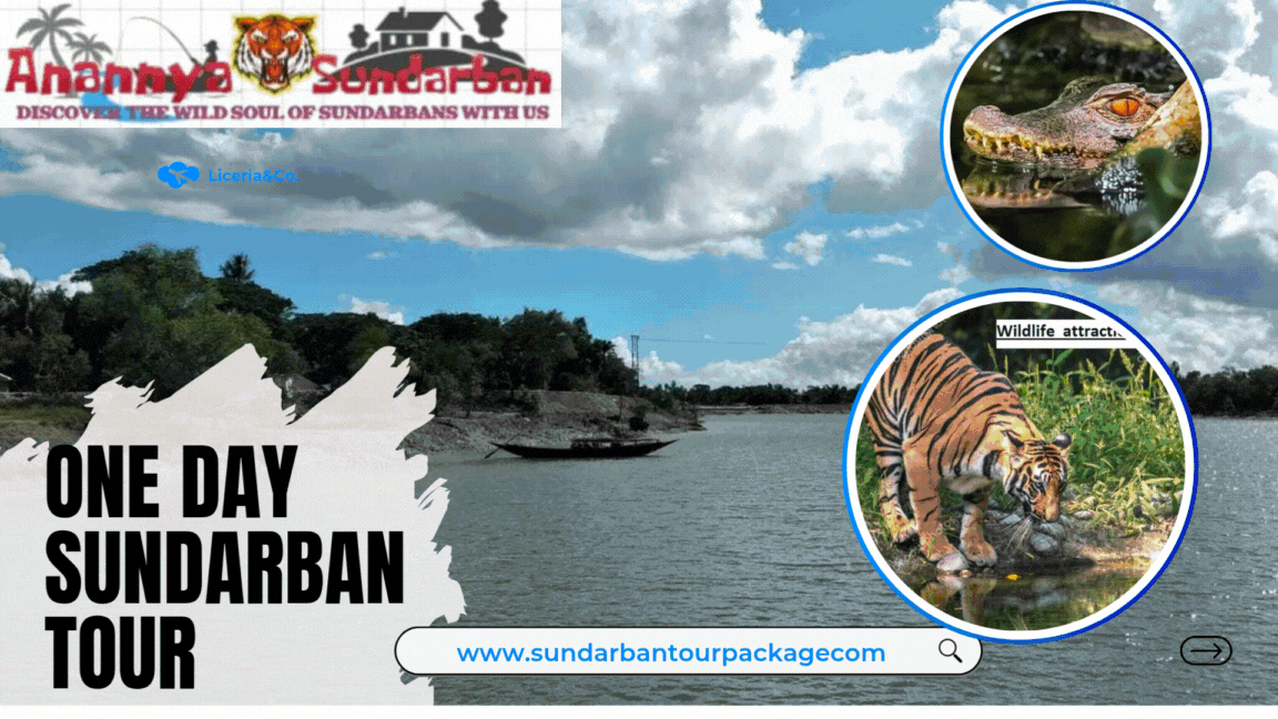 One Day Sundarban Tour